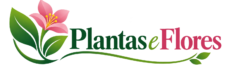 Plantas e flores
